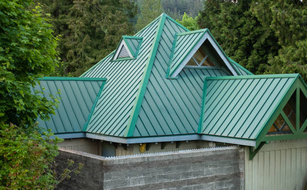 Best Skylight Installation and Repair  in Ottawa, OH
