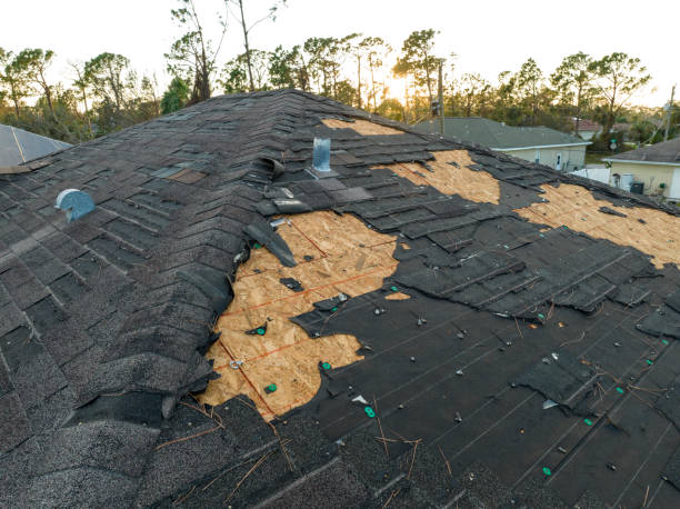 Best Gutter Installation and Repair  in Ottawa, OH