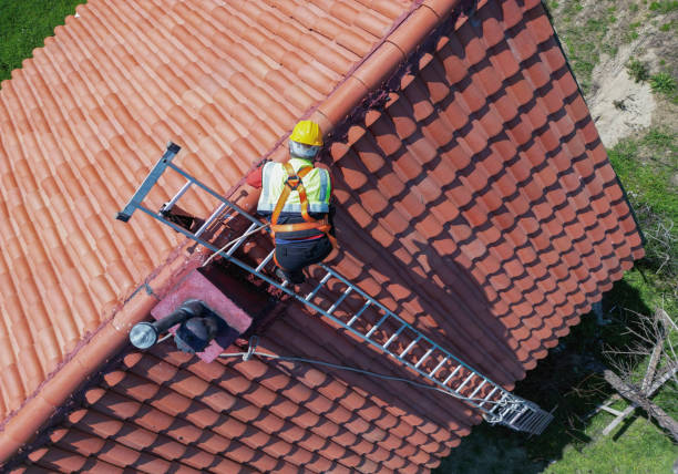 Best Roof Moss and Algae Removal  in Ottawa, OH
